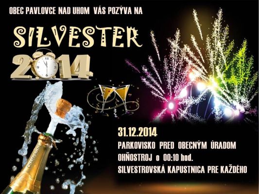 2014-silvester-s